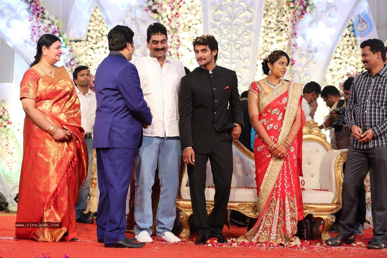 Aadi and Aruna Wedding Reception 04 - 40 / 49 photos