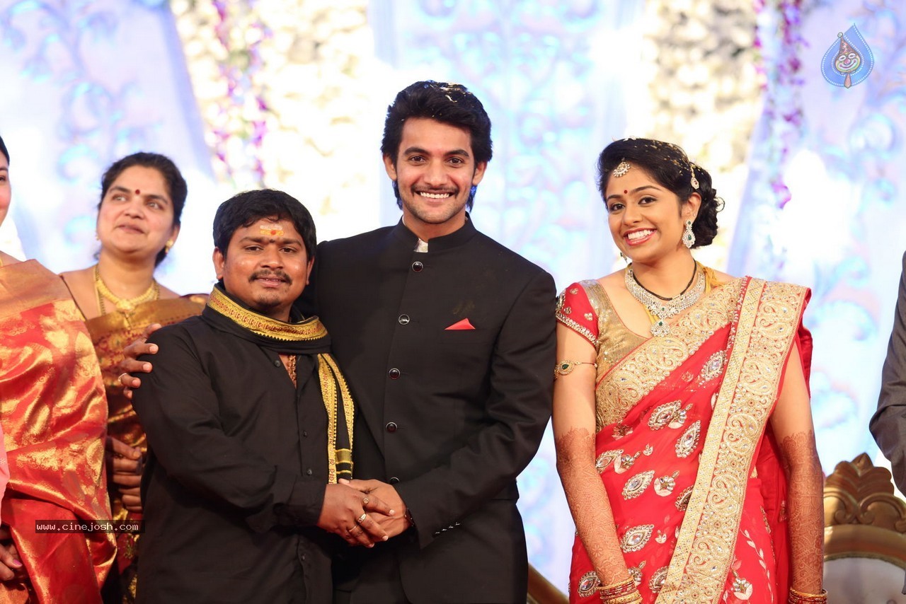 Aadi and Aruna Wedding Reception 02 - 5 / 170 photos