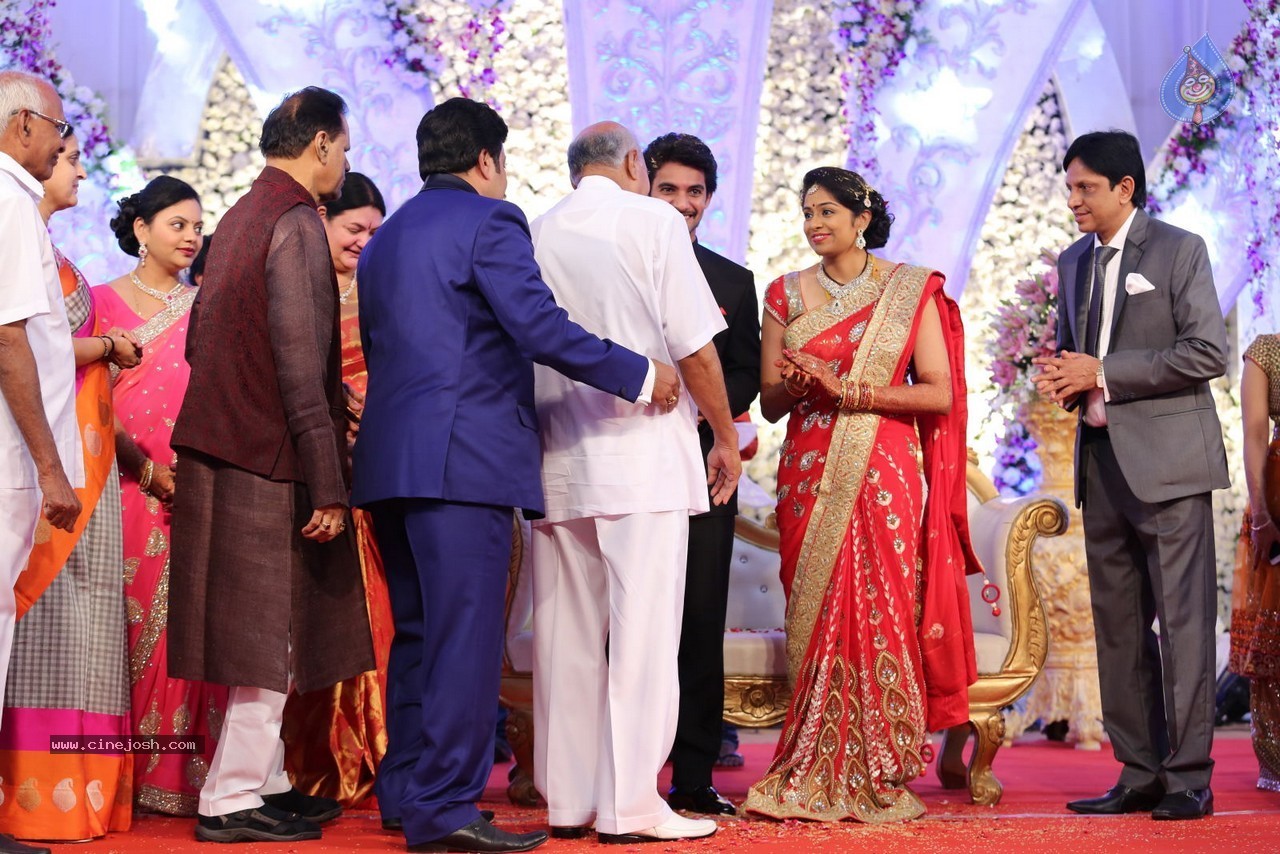 Aadi and Aruna Wedding Reception 02 - 22 / 170 photos