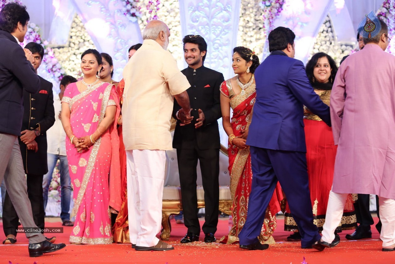 Aadi and Aruna Wedding Reception 02 - 26 / 170 photos