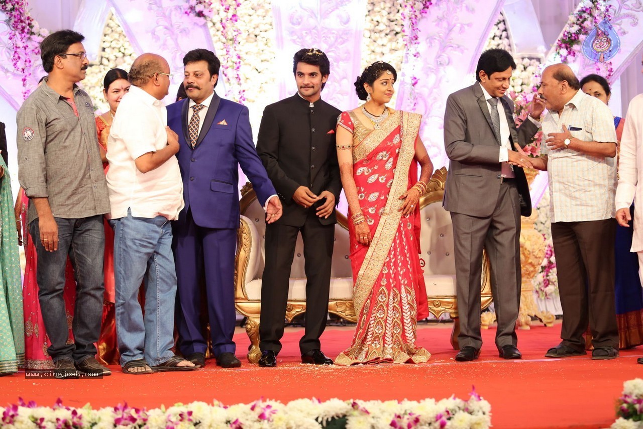 Aadi and Aruna Wedding Reception 02 - 28 / 170 photos