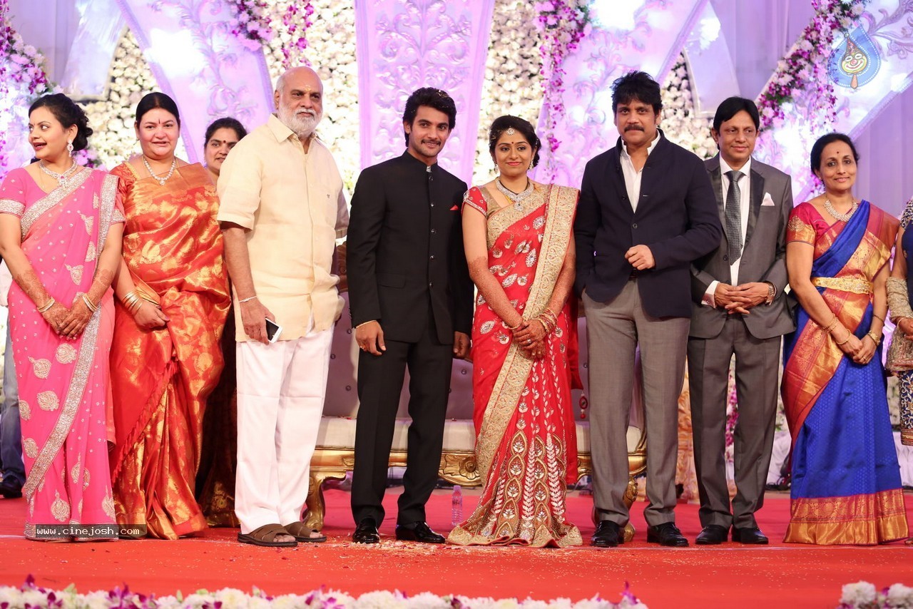 Aadi and Aruna Wedding Reception 02 - 29 / 170 photos