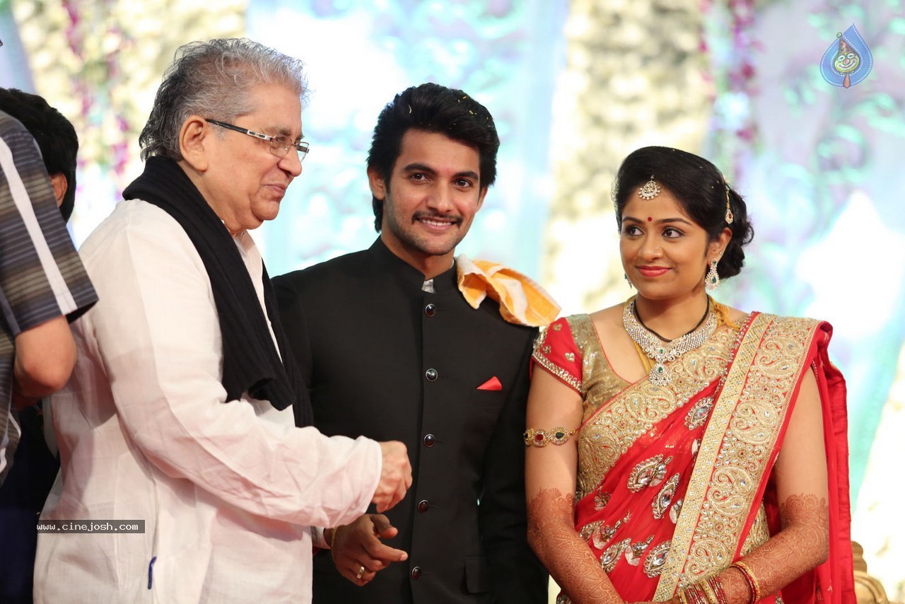 Aadi and Aruna Wedding Reception 02 - 31 / 170 photos