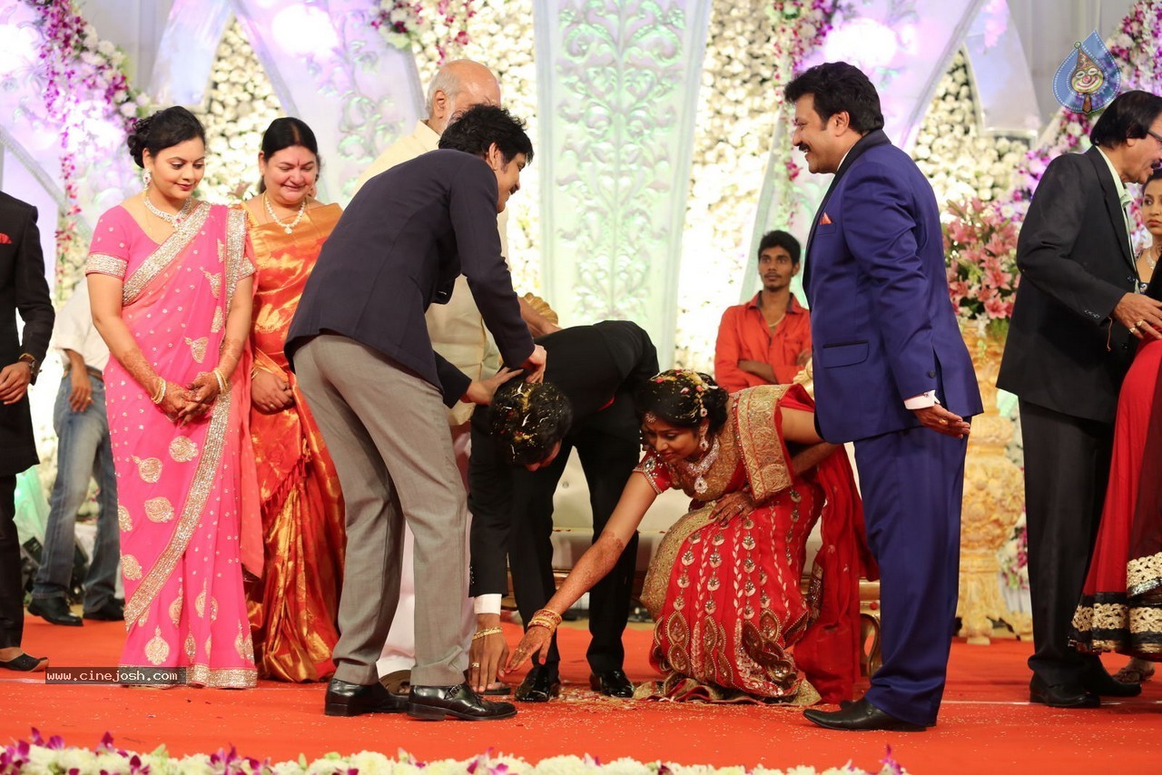 Aadi and Aruna Wedding Reception 02 - 48 / 170 photos