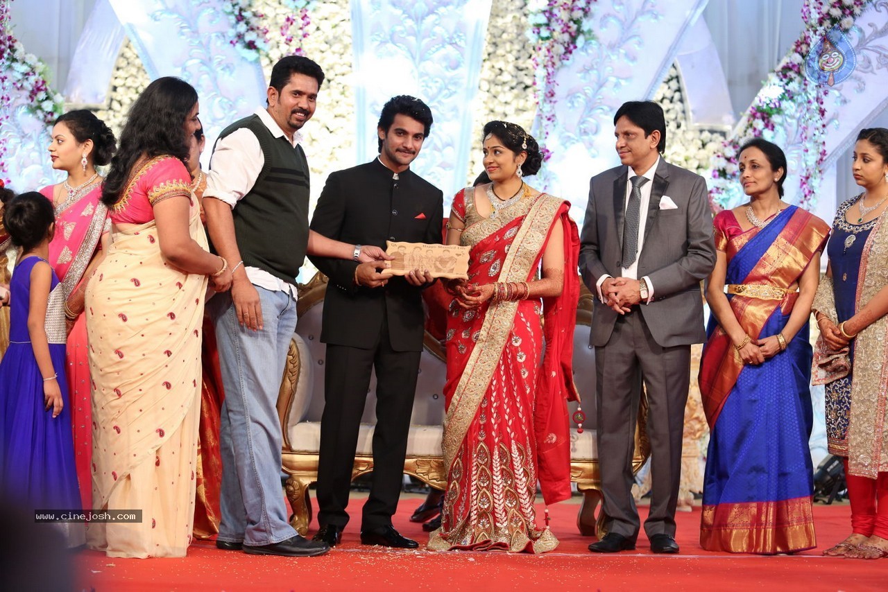 Aadi and Aruna Wedding Reception 02 - 54 / 170 photos
