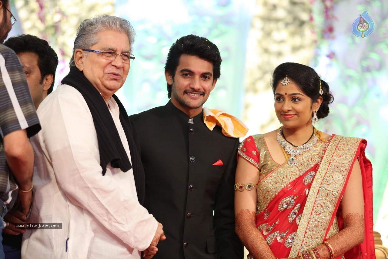 Aadi and Aruna Wedding Reception 02 - 59 / 170 photos
