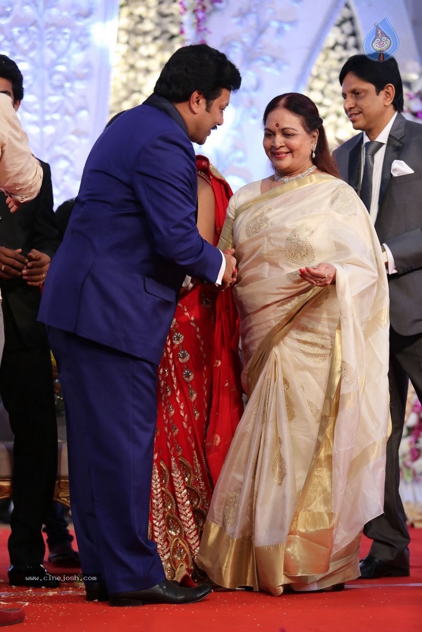 Aadi and Aruna Wedding Reception 02 - 66 / 170 photos