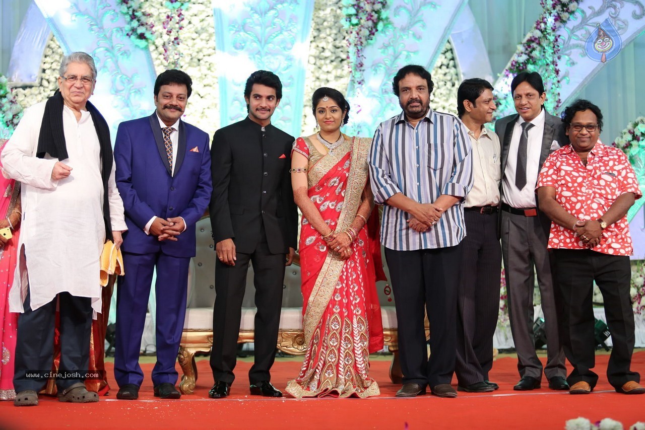 Aadi and Aruna Wedding Reception 02 - 67 / 170 photos
