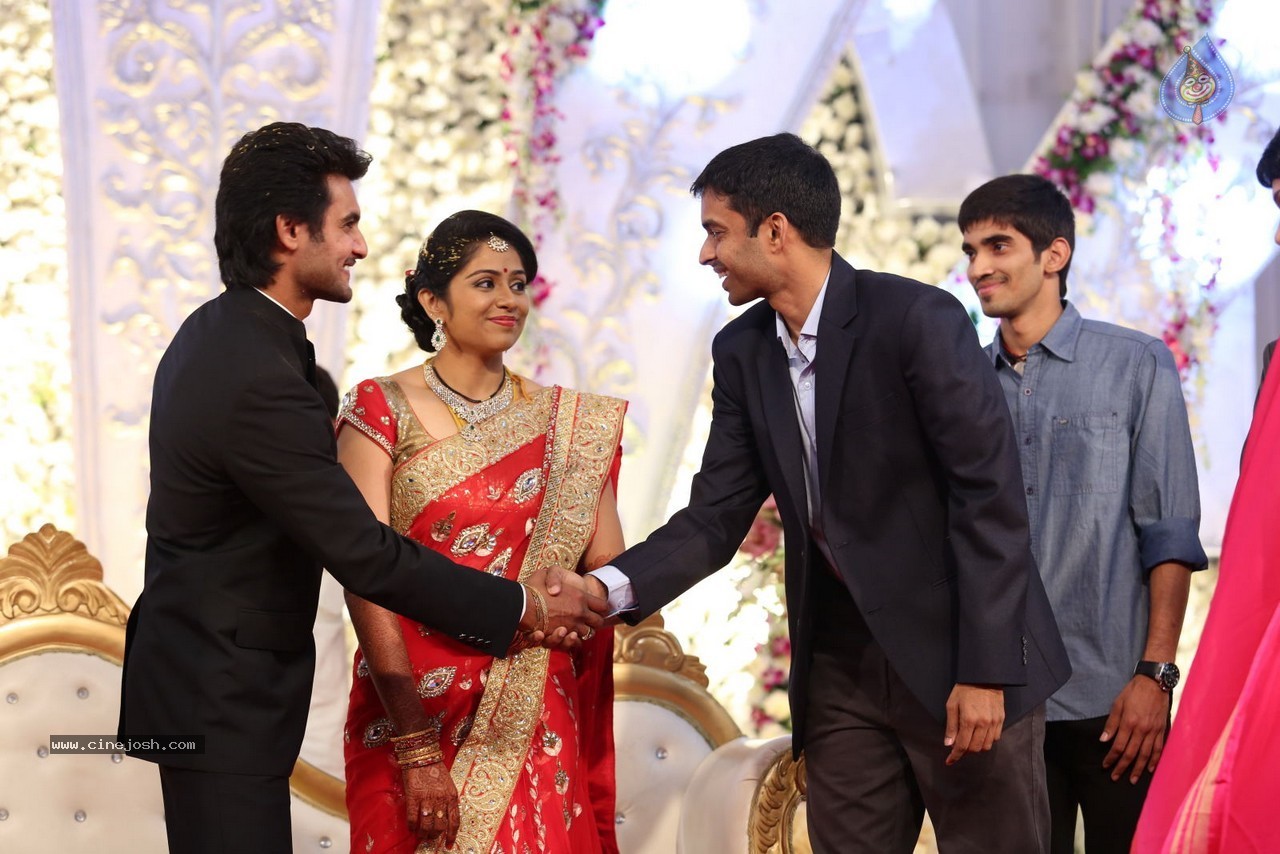 Aadi and Aruna Wedding Reception 02 - 70 / 170 photos