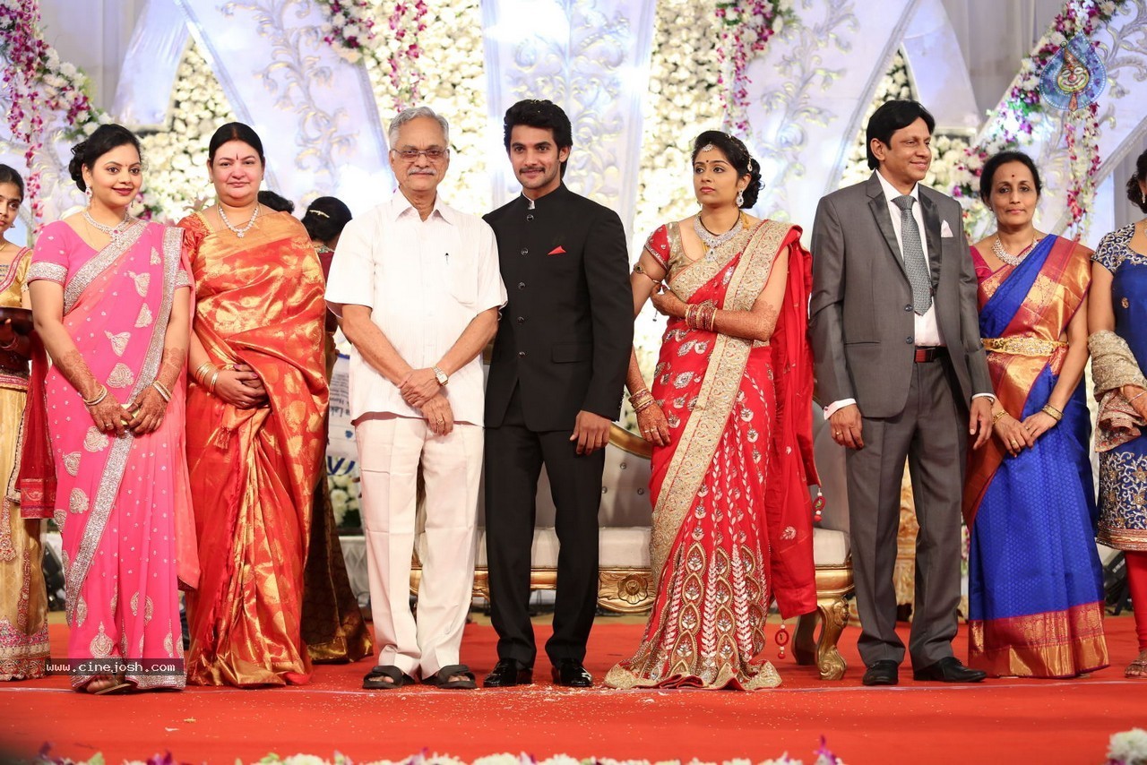 Aadi and Aruna Wedding Reception 02 - 75 / 170 photos
