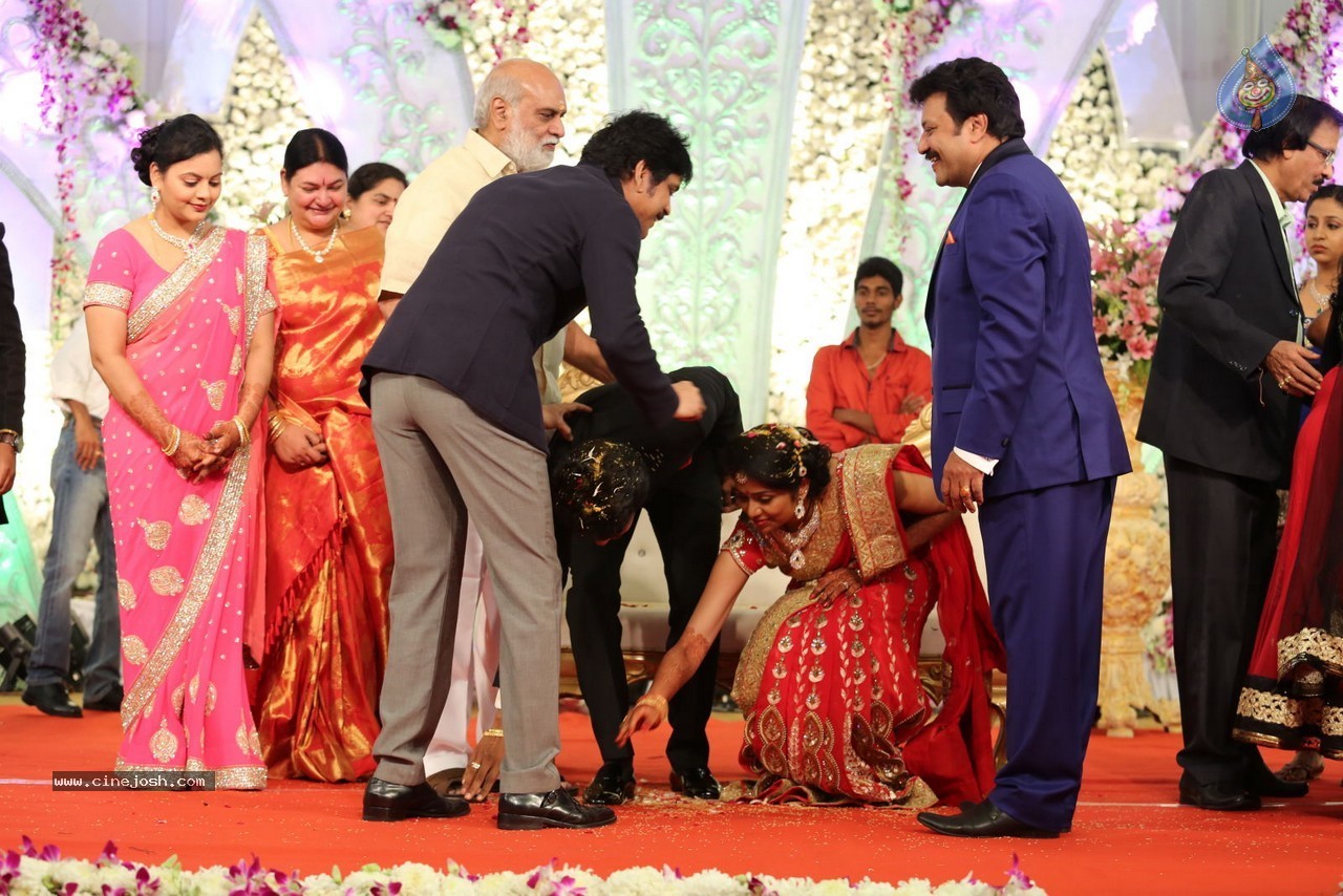 Aadi and Aruna Wedding Reception 02 - 77 / 170 photos