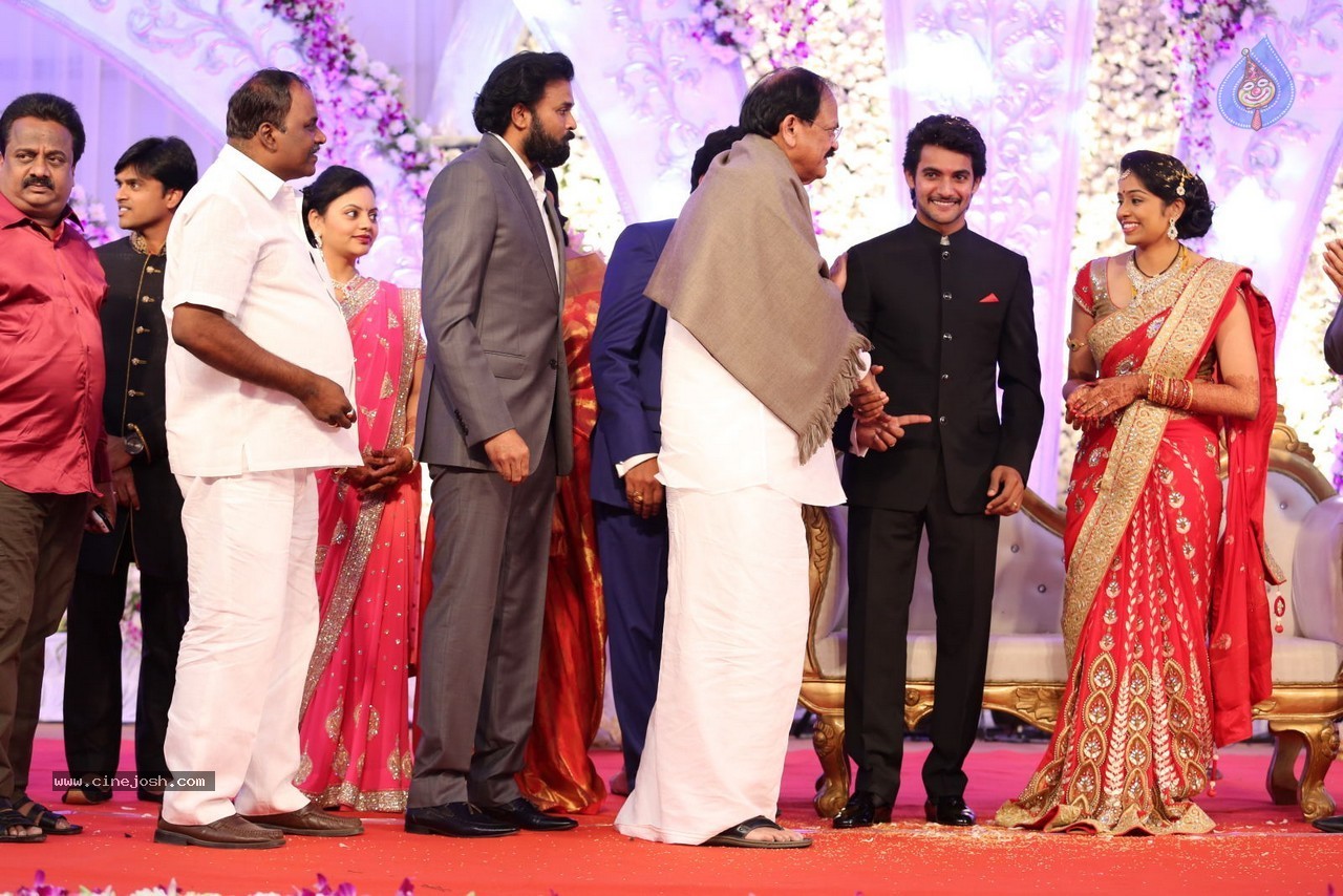 Aadi and Aruna Wedding Reception 02 - 89 / 170 photos