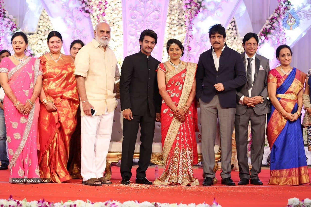 Aadi and Aruna Wedding Reception 02 - 100 / 170 photos