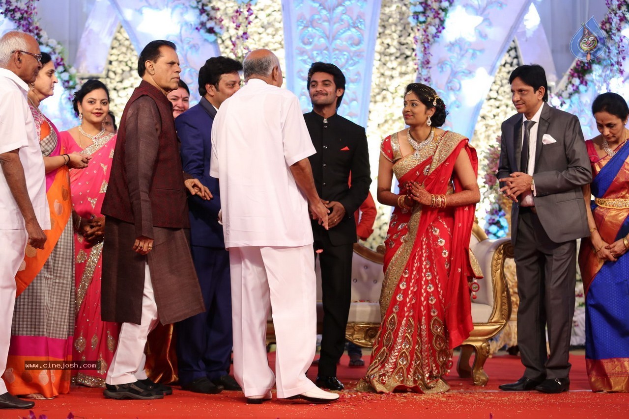Aadi and Aruna Wedding Reception 02 - 104 / 170 photos
