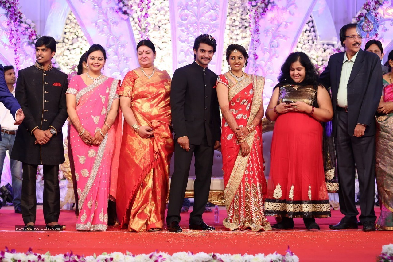 Aadi and Aruna Wedding Reception 02 - 106 / 170 photos