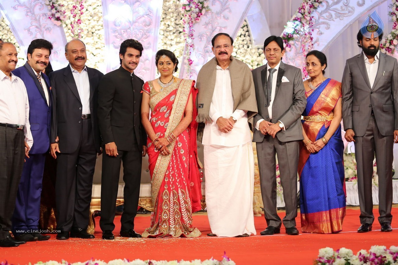 Aadi and Aruna Wedding Reception 02 - 117 / 170 photos