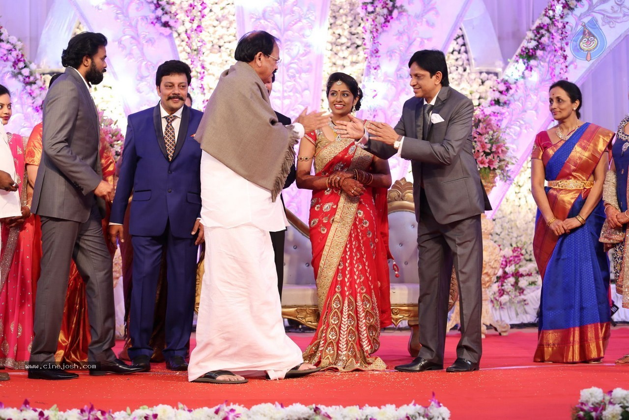 Aadi and Aruna Wedding Reception 02 - 118 / 170 photos