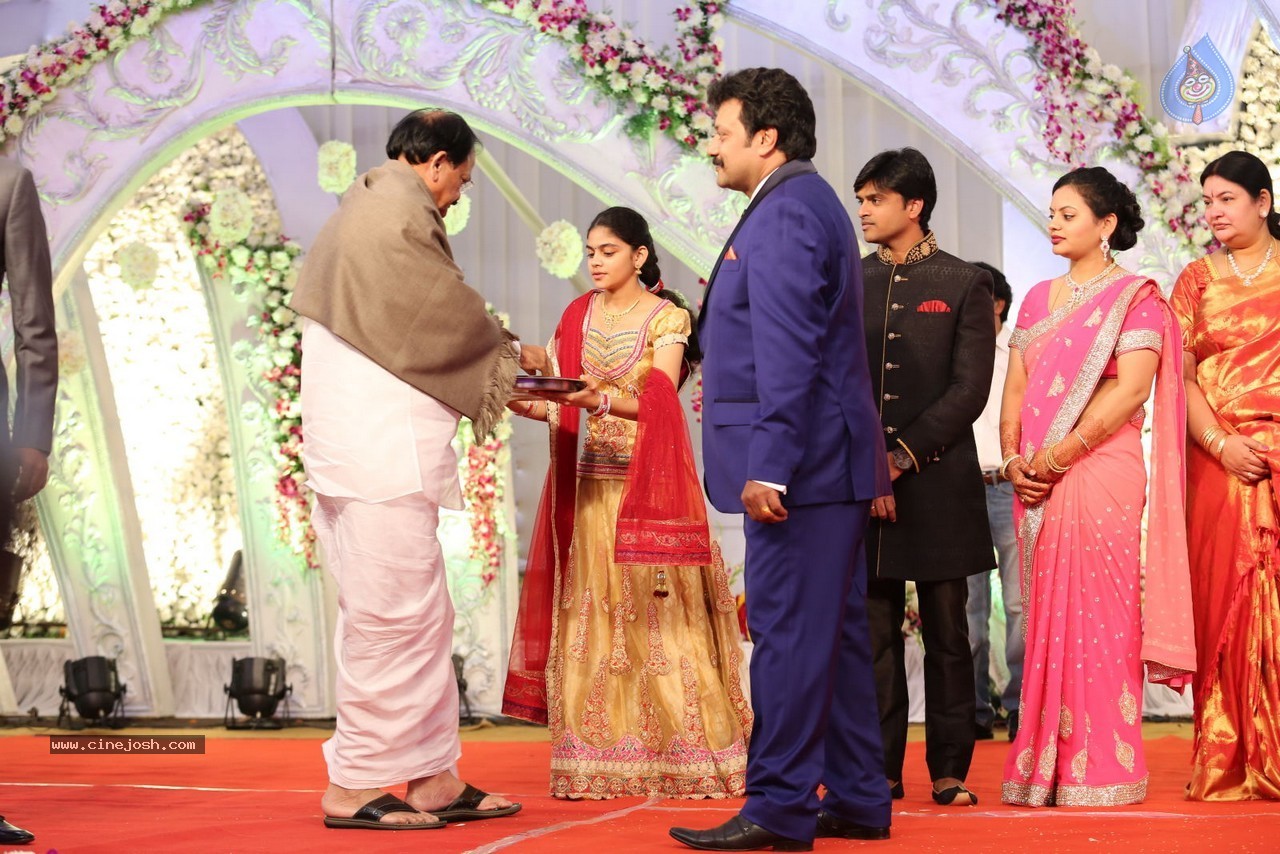 Aadi and Aruna Wedding Reception 02 - 119 / 170 photos