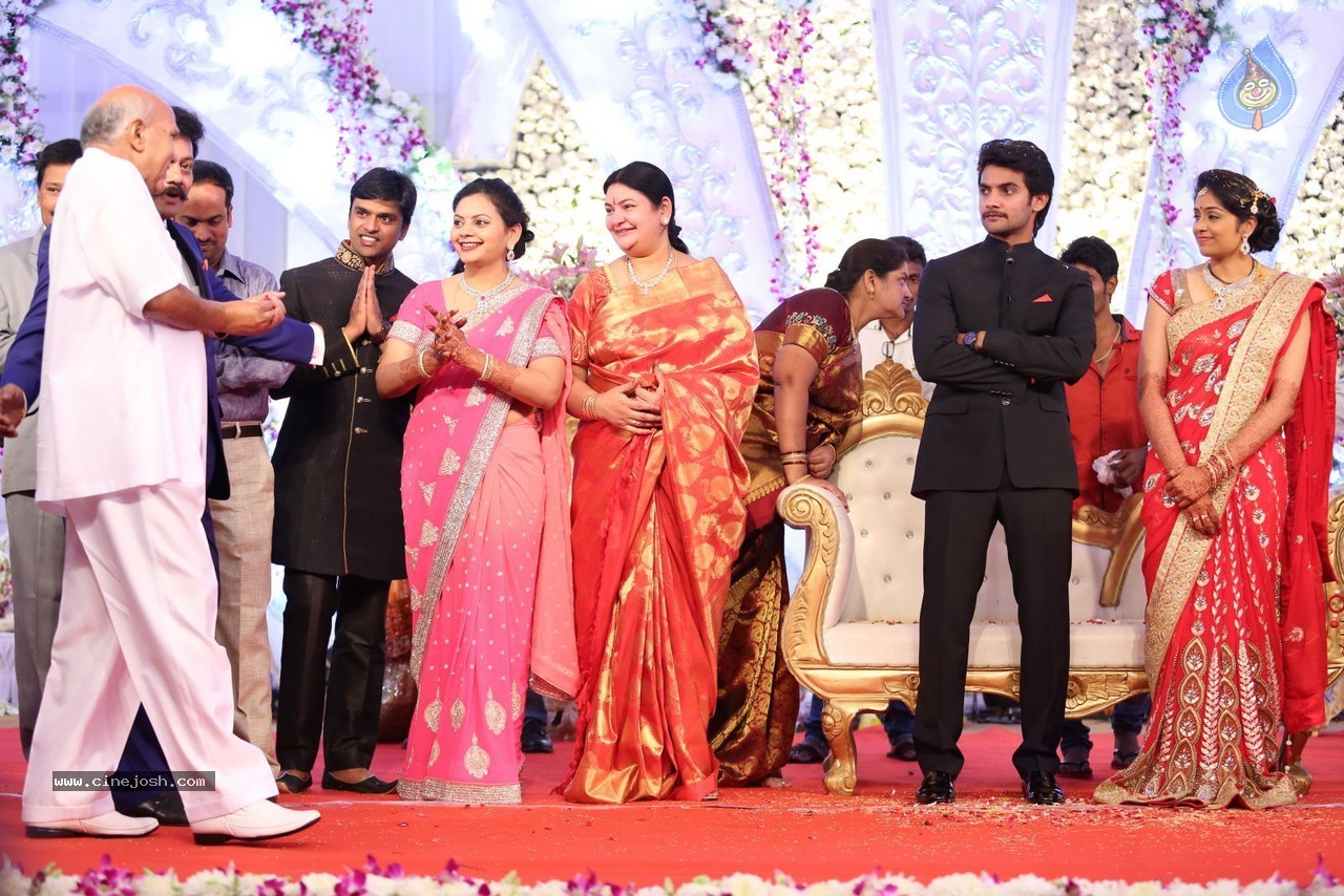 Aadi and Aruna Wedding Reception 02 - 120 / 170 photos