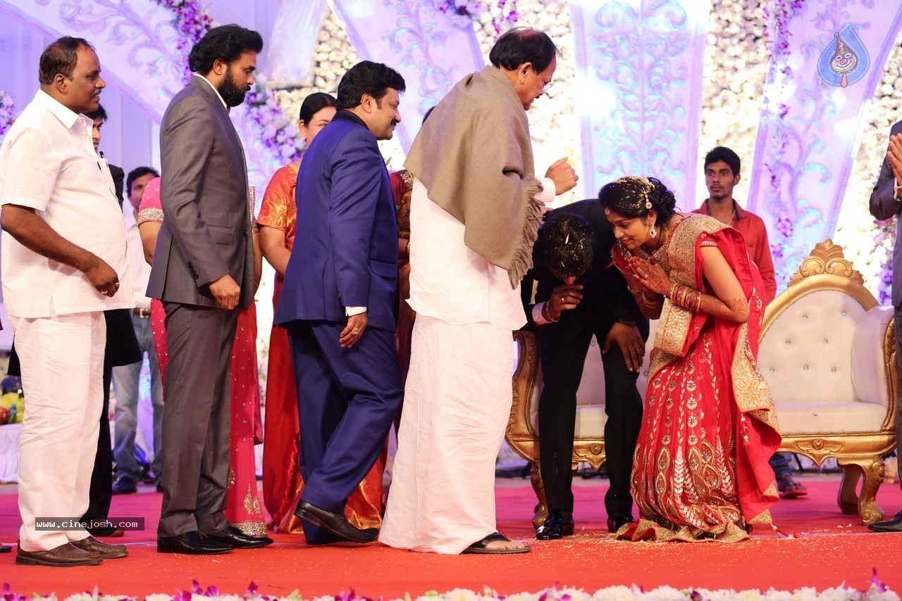 Aadi and Aruna Wedding Reception 02 - 122 / 170 photos