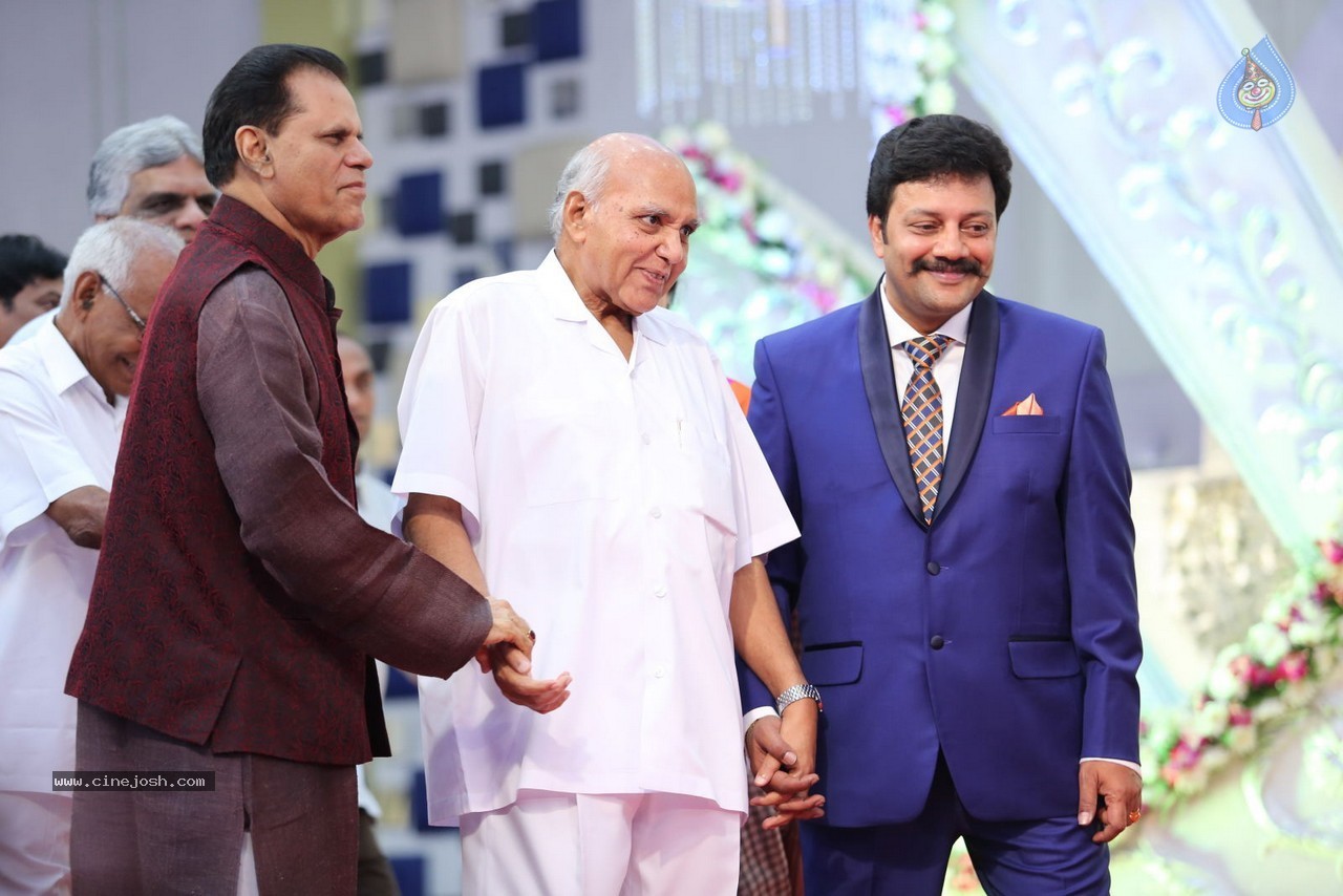 Aadi and Aruna Wedding Reception 02 - 124 / 170 photos