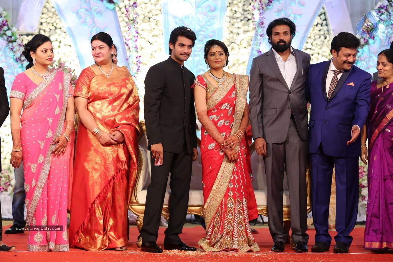 Aadi and Aruna Wedding Reception 02 - 144 / 170 photos