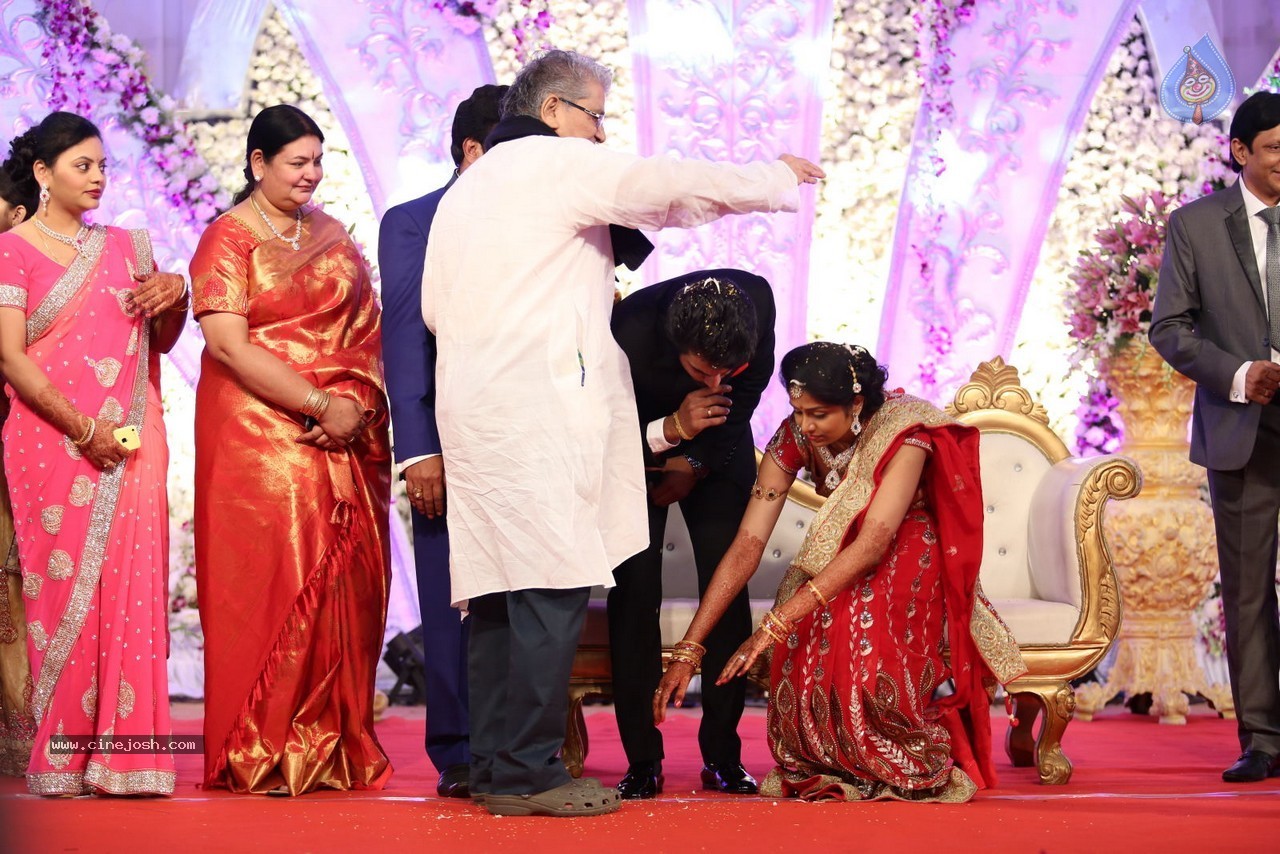Aadi and Aruna Wedding Reception 02 - 152 / 170 photos