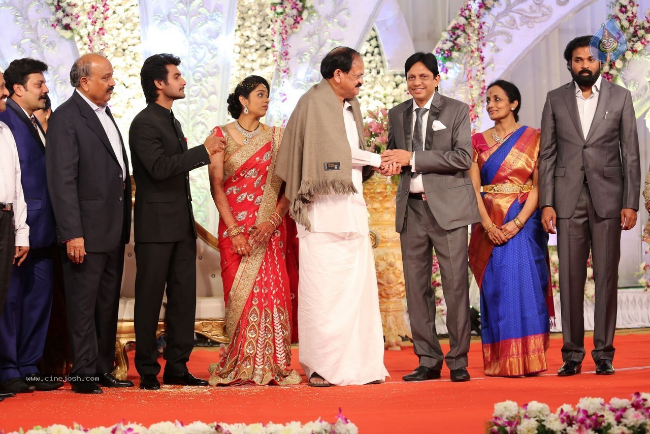 Aadi and Aruna Wedding Reception 02 - 156 / 170 photos