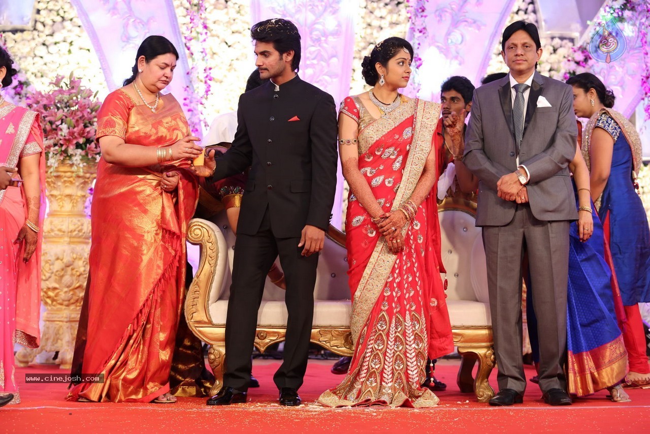 Aadi and Aruna Wedding Reception 02 - 164 / 170 photos
