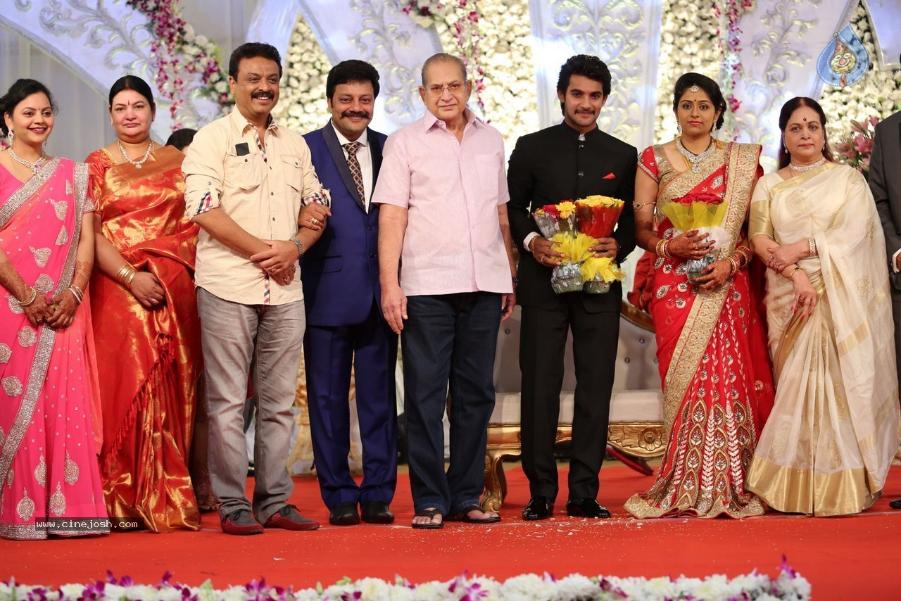 Aadi and Aruna Wedding Reception 02 - 165 / 170 photos