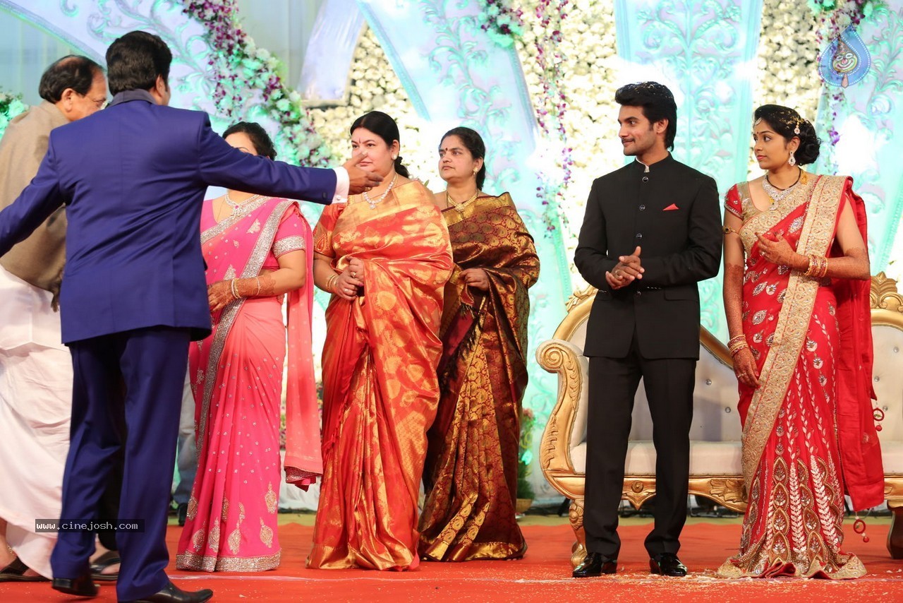 Aadi and Aruna Wedding Reception 02 - 169 / 170 photos