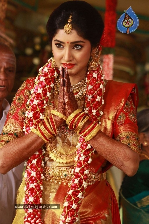 Abinesh Elangovan and Nandhini Wedding Reception - 19 / 42 photos