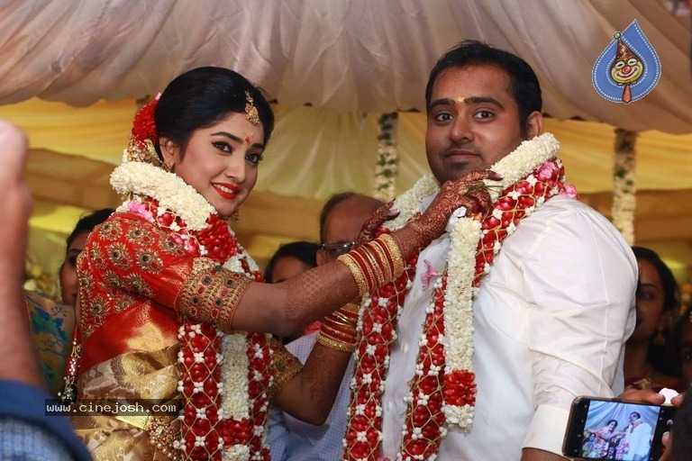 Abinesh Elangovan and Nandhini Wedding Reception - 26 / 42 photos
