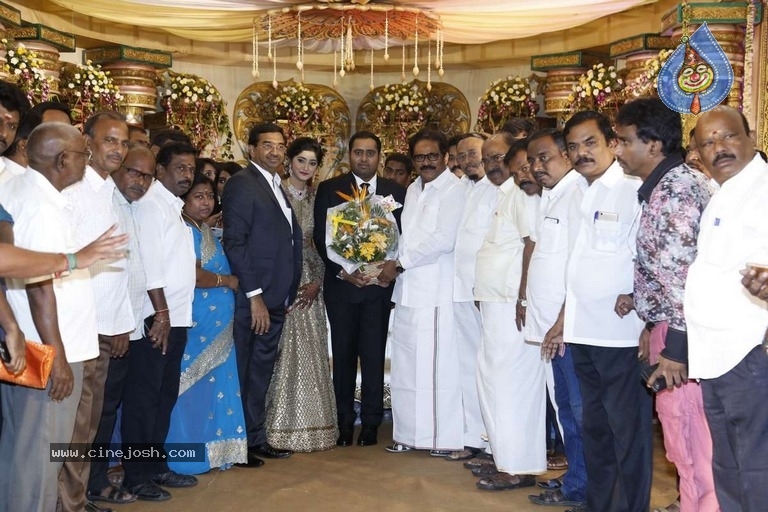 Abinesh Elangovan and Nandhini Wedding Reception - 35 / 42 photos
