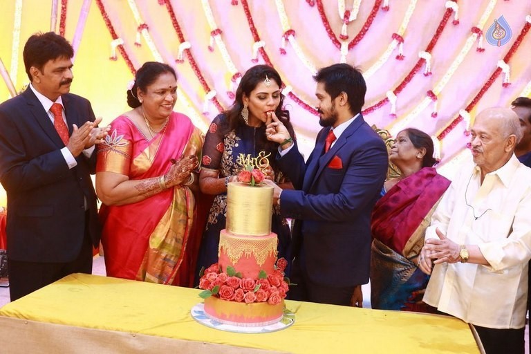 Actor Nakul Wedding Reception Photos - 24 / 61 photos