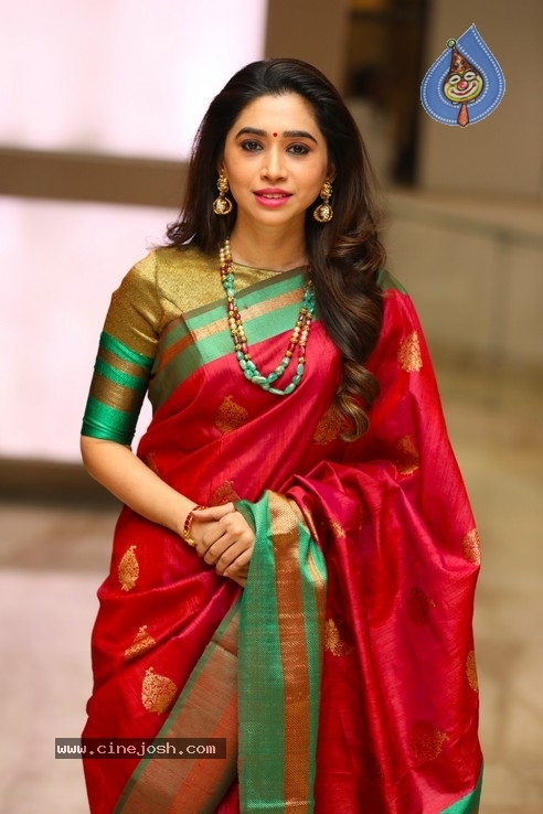 Actor Sathish - Sindhu Wedding Reception Stills - 5 / 105 photos