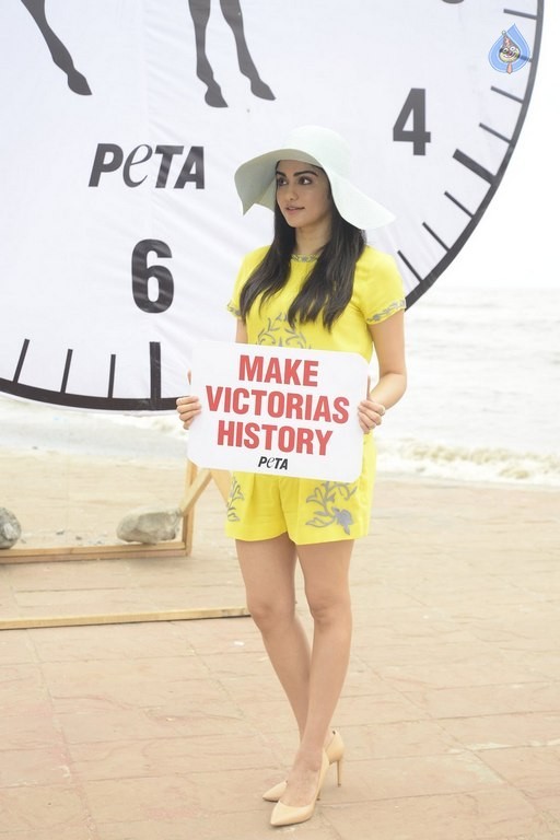 Adah Sharma at PETA Event - 2 / 18 photos