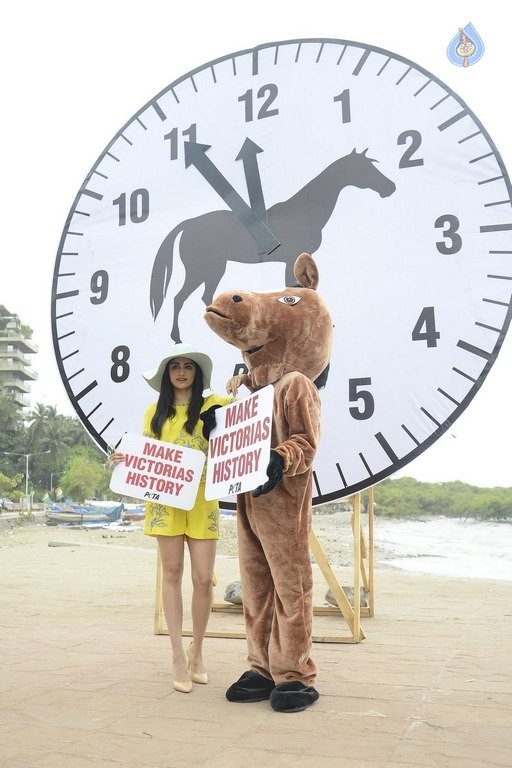 Adah Sharma at PETA Event - 5 / 18 photos