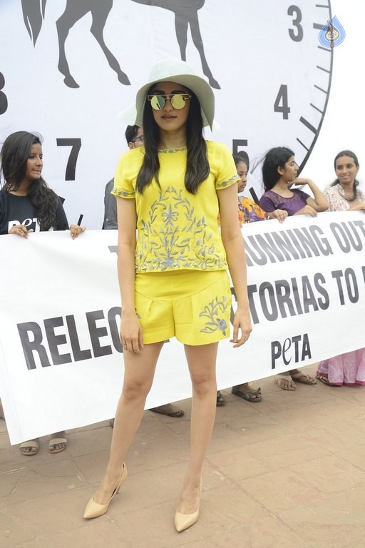 Adah Sharma at PETA Event - 7 / 18 photos