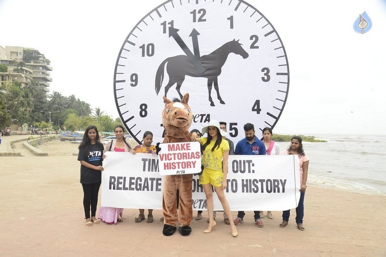 Adah Sharma at PETA Event - 16 / 18 photos