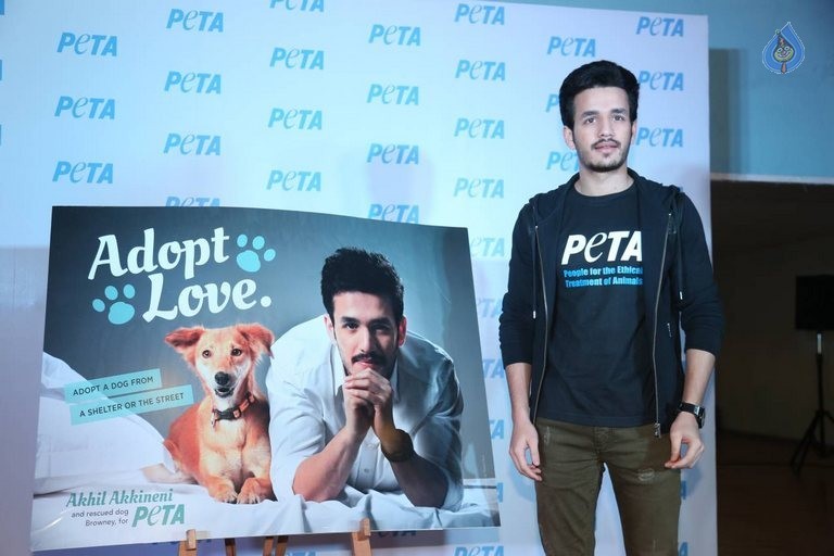 Akhil at PETA Event - 24 / 37 photos