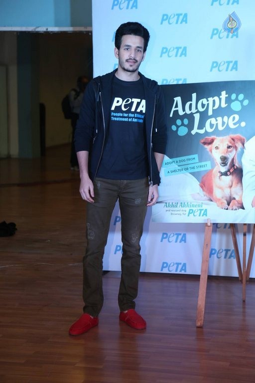Akhil at PETA Event - 33 / 37 photos