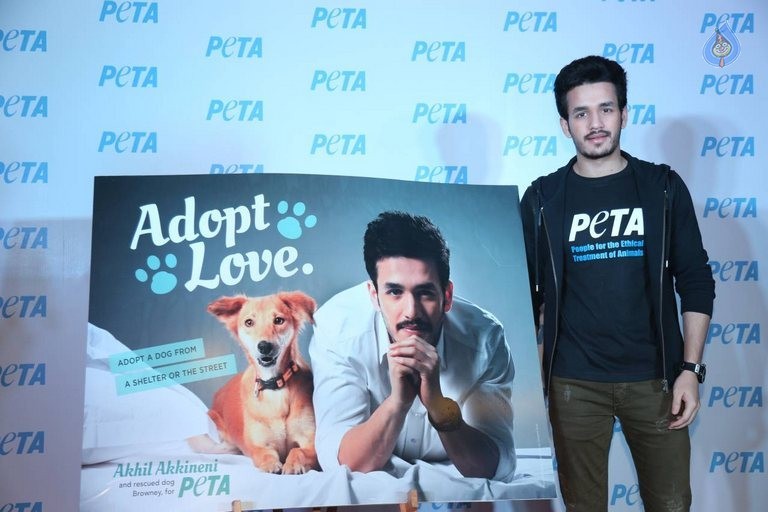Akhil at PETA Event - 36 / 37 photos