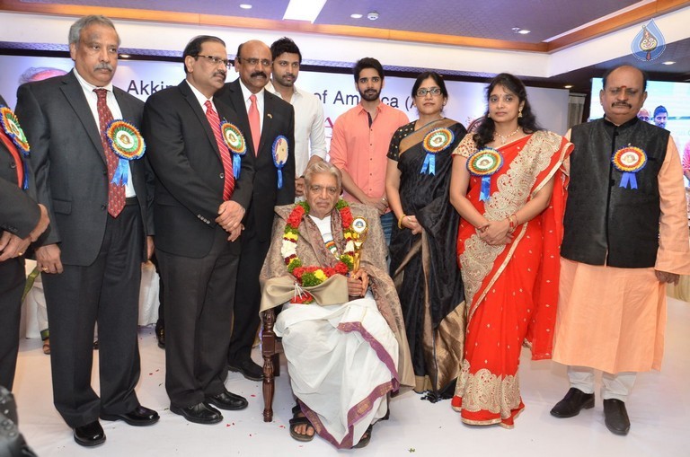 Akkineni International Awards Gala - 85 / 151 photos