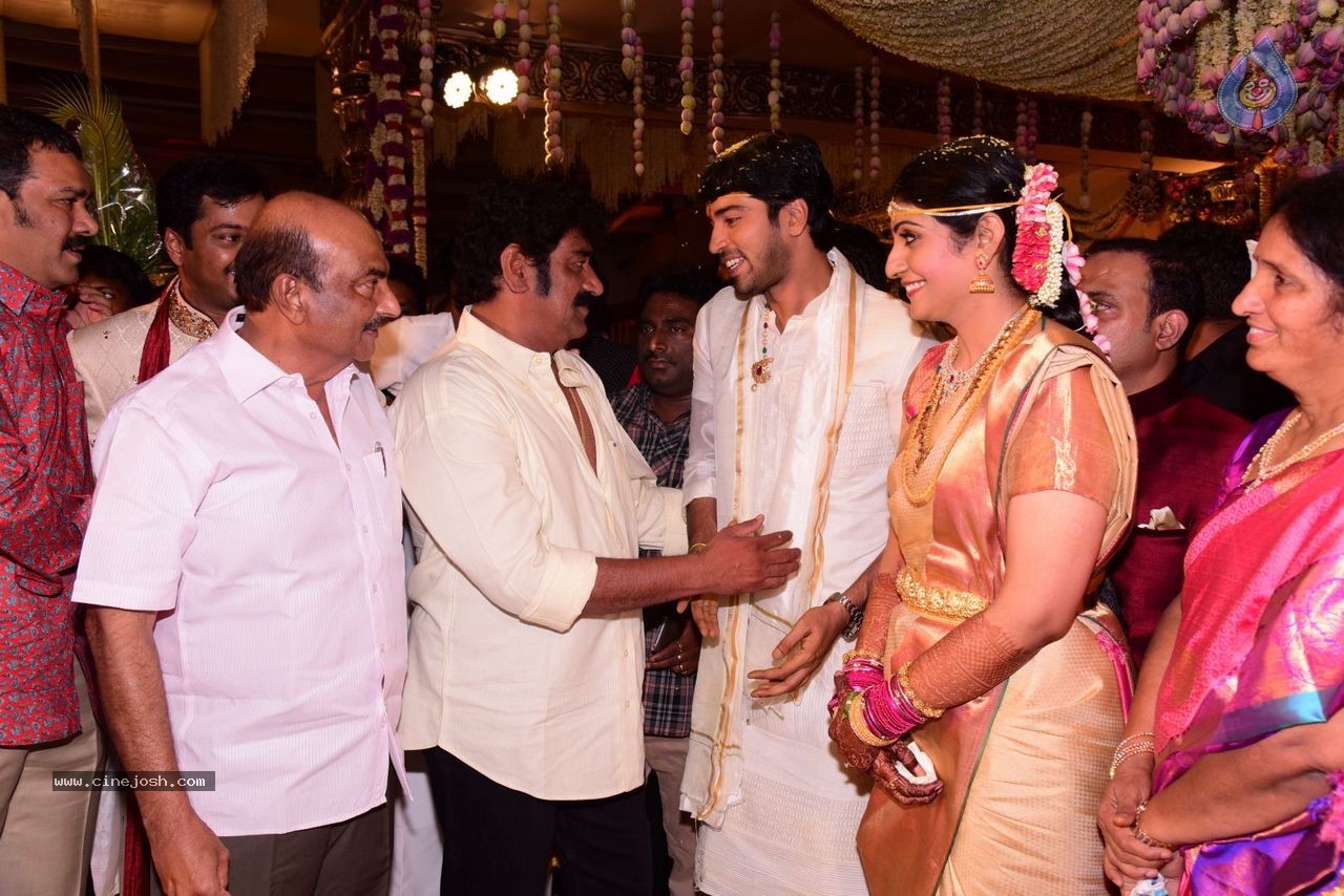 Allari Naresh Wedding Photos 03 - 35 / 227 photos