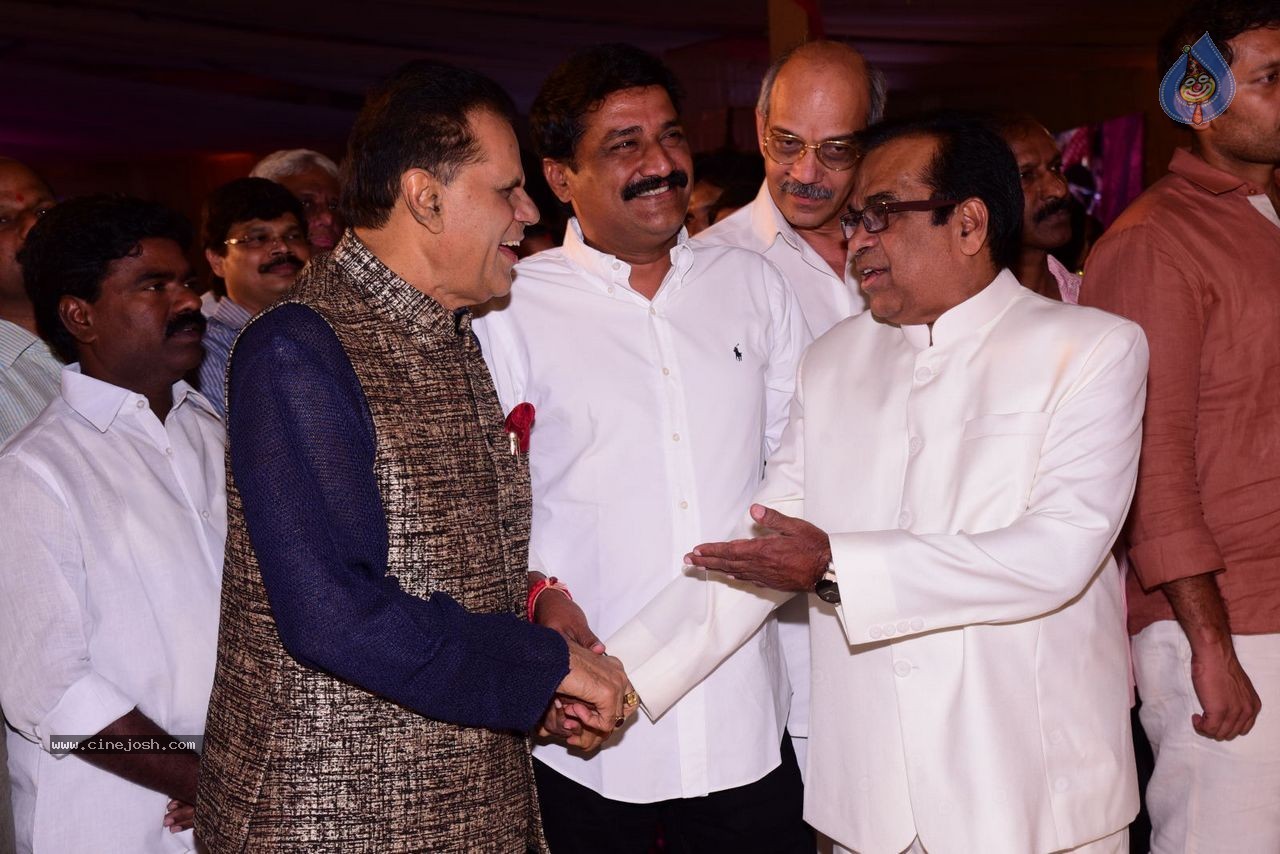 Allari Naresh Wedding Photos 03 - 128 / 227 photos