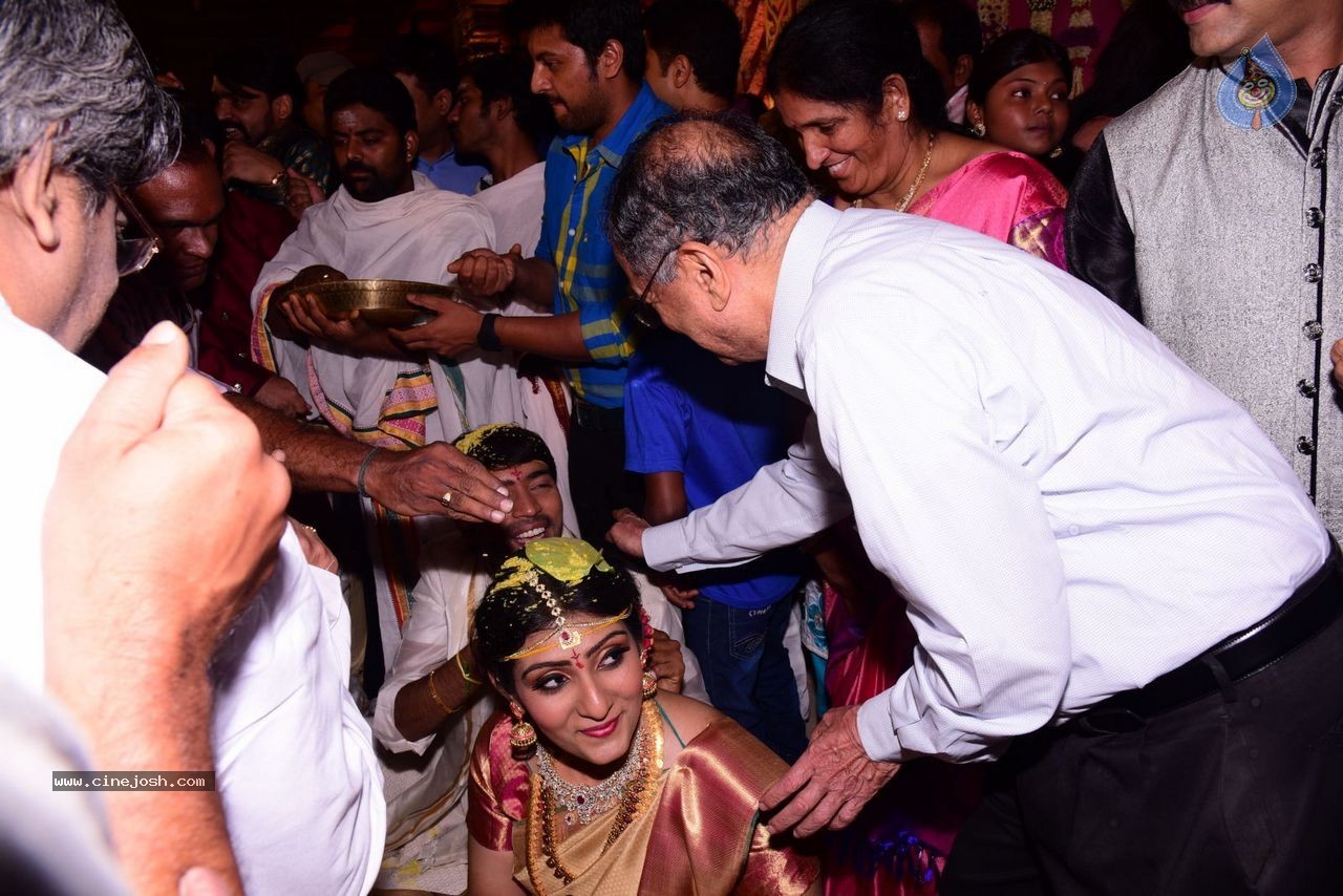 Allari Naresh Wedding Photos 03 - 145 / 227 photos