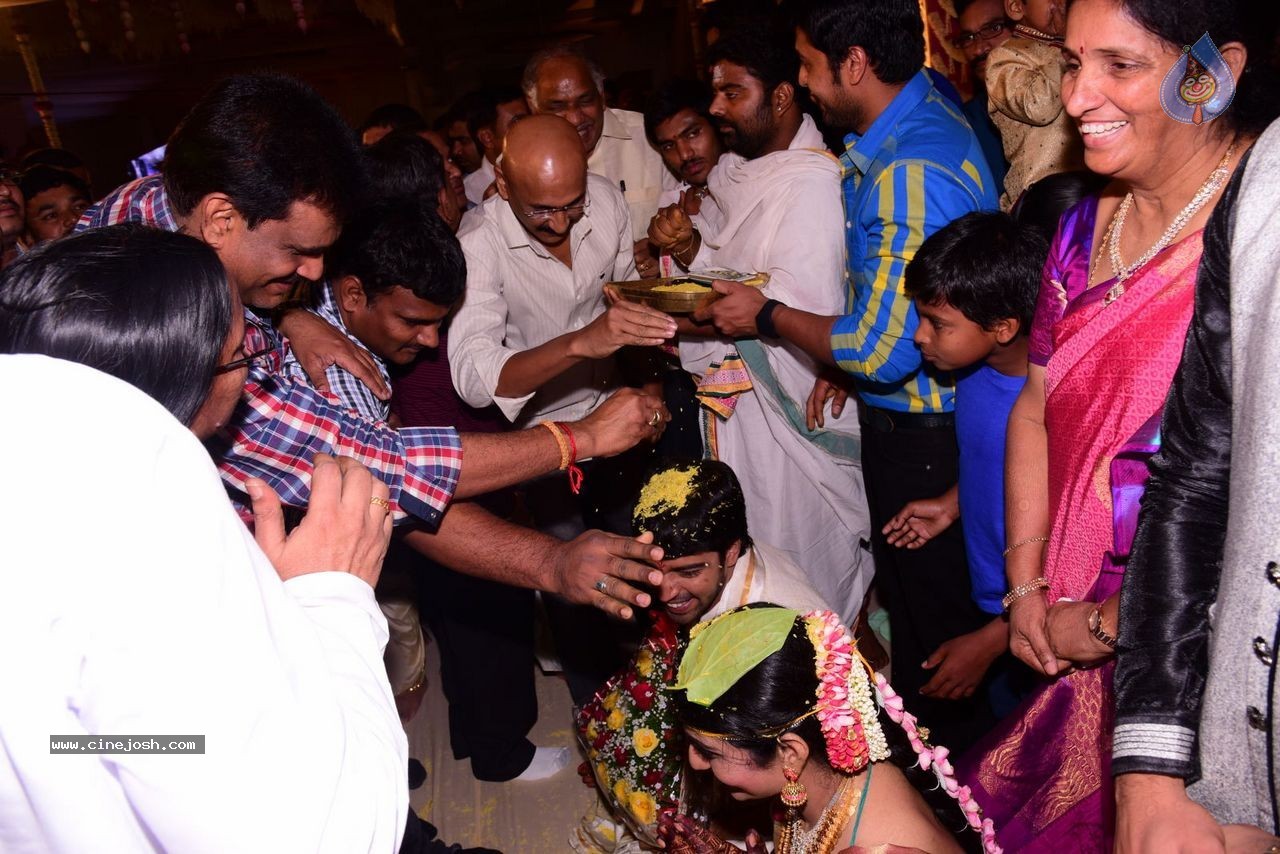 Allari Naresh Wedding Photos 03 - 186 / 227 photos