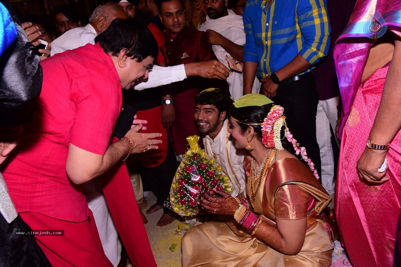 Allari Naresh Wedding Photos 03 - 205 / 227 photos