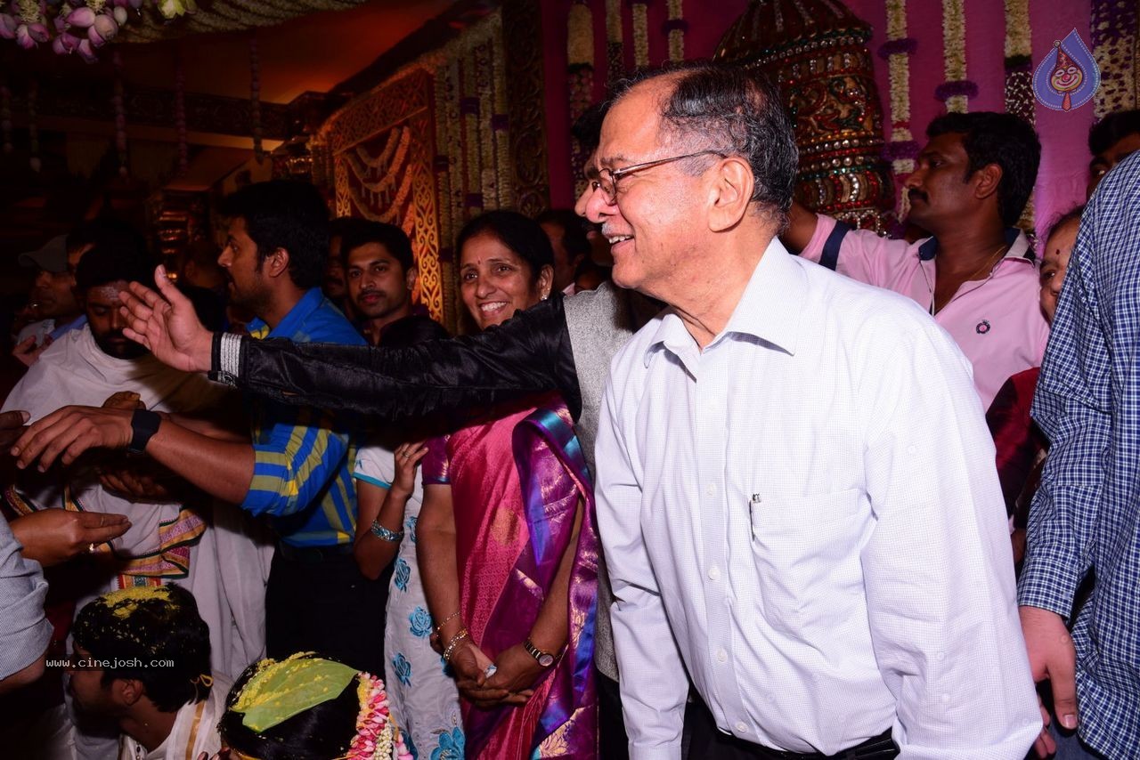 Allari Naresh Wedding Photos 03 - 213 / 227 photos